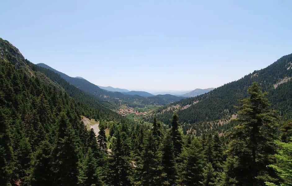 Stemnitsa Stone Residence - Comfy Mountain Getaway Екстер'єр фото